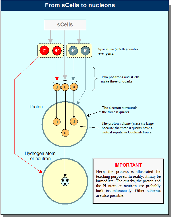 scells_nucleons - Standard Model