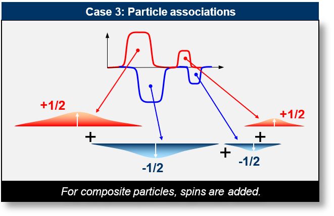 Spin: Associations of fermions and bosons