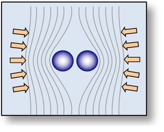 Principle of gravitation : Spacetime exerts a pressure on the surface of objects. The result is that these objects move one toward the other. This is what we call gravitation, or gravity.